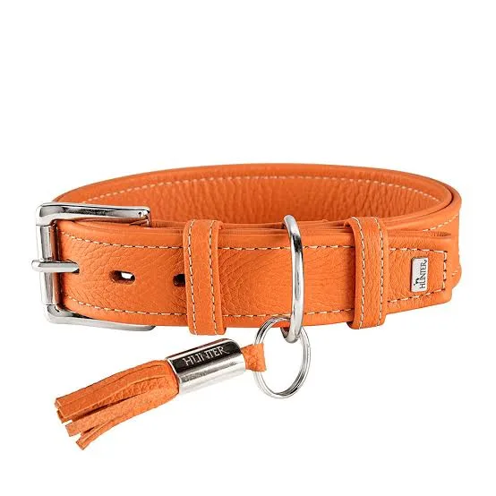 Collar para Perro